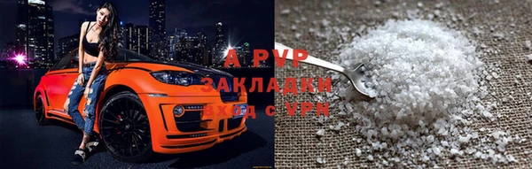 СК Белокуриха